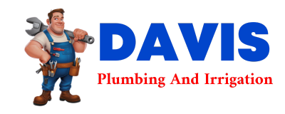 Trusted plumber in DUCKWATER